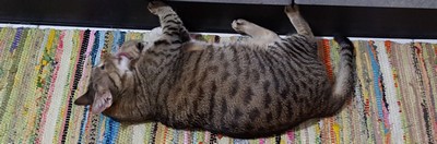 Miky_03